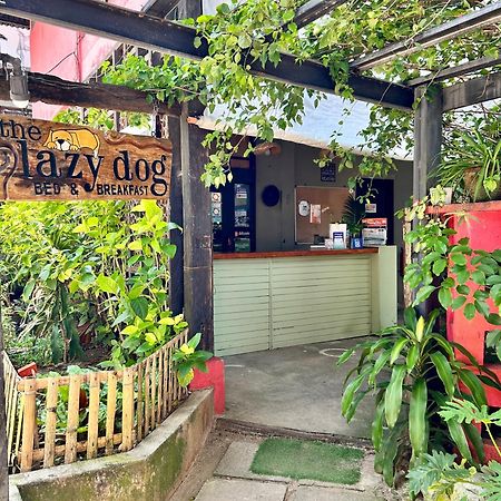 Lazy Dog Bed & Breakfast Balabag  Exteriér fotografie