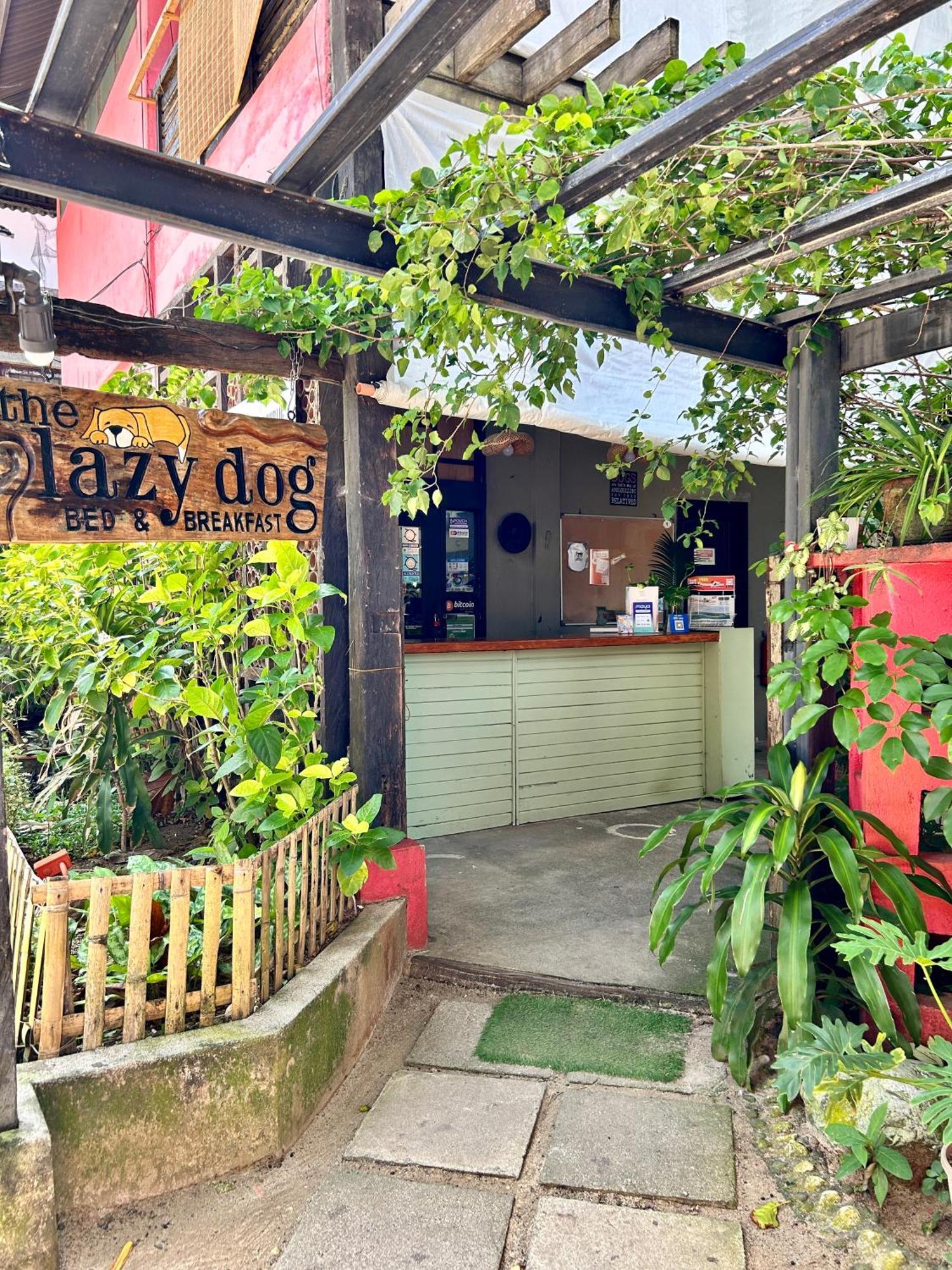 Lazy Dog Bed & Breakfast Balabag  Exteriér fotografie