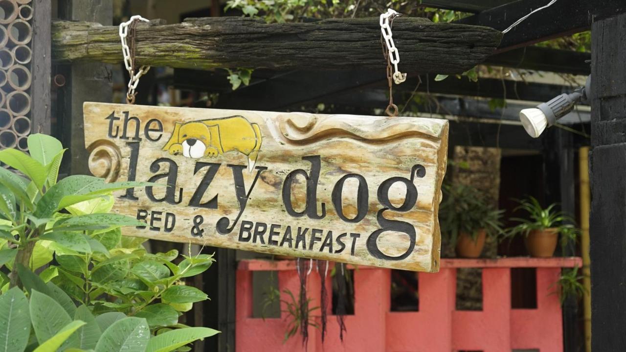 Lazy Dog Bed & Breakfast Balabag  Exteriér fotografie